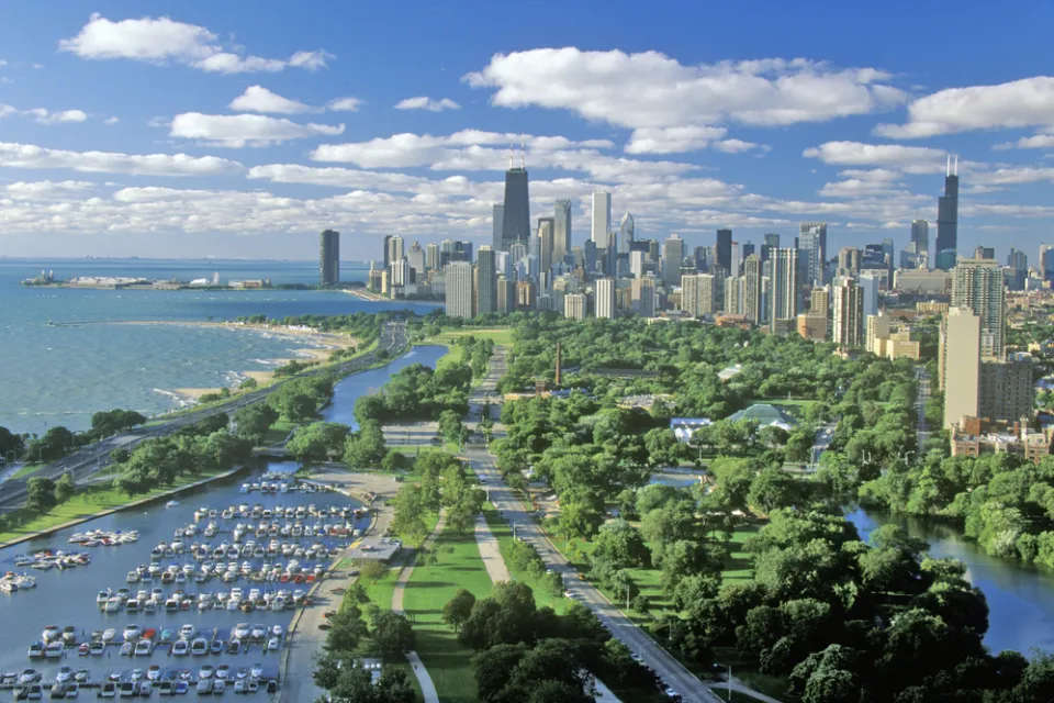 Chicago Lake Michigan Trees